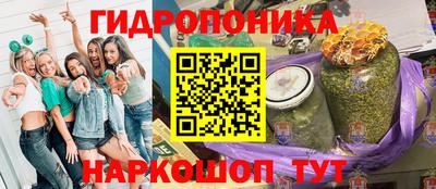 дживик Кингисепп