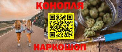дживик Кингисепп