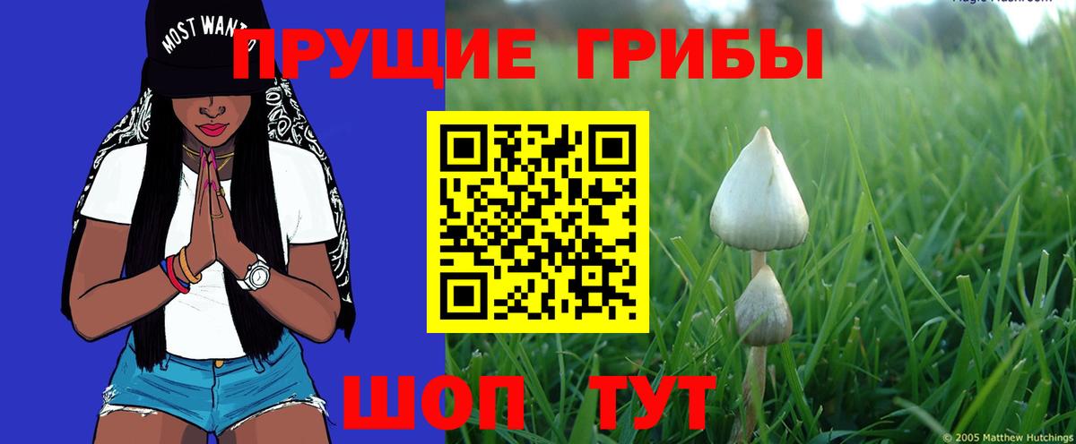 Галлюциногенные грибы MAGIC MUSHROOMS Коряжма